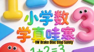 VW Brake Disc Factory Direct Premium Quality